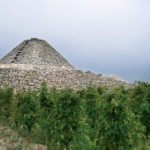 Murge Trullo nelle nostre vigne